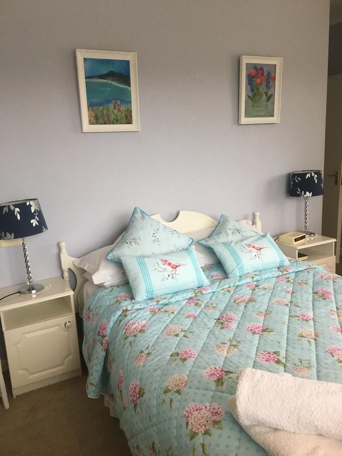 Bed and Breakfast Chaplins Townhouse Kilkenny Exteriér fotografie